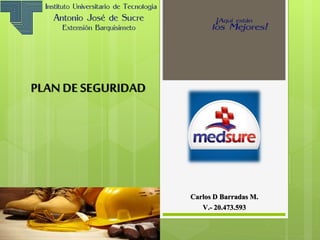 Carlos D Barradas M.
V.- 20.473.593
PLAN DE SEGURIDAD
 