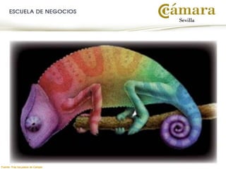 Fuente: Tras los pasos de Camper
 