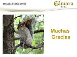 Plan de Social Media Marketing  14-15