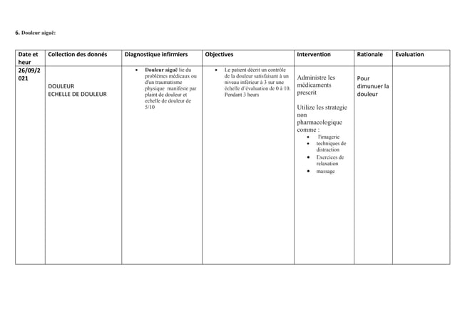 Plan De Soins Infirmiers Examples En Pratique 3docx