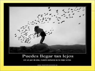 Plan de supervision russo hernandez zabala