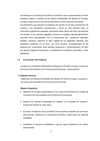 sin embargo en el manejo de vicuñas en cautiverio (cercos permanentes) se hace
      necesario realizar el estudio de los Efectos Ambientales del Manejo de Vicuñas
      (vicugna vicugna) en los Cercos Permanentes en la Provincia de Churcampa
      Los fenómenos que generan la población de vicuñas en el cerco permanente de
      acuerdo a los parámetros reproductivos y forma de vida silvestre tiene un
      crecimiento poblacional acelerado, generando estos dentro del cerco permanente
      una presión a los recursos vegetales (consumo de pastos naturales/animal/año)
      conocido como soportablidad; con la consecuencia de        contaminar, depredar,
      extinguir, erosionar, disminuir el vigor vegetal de los pastizales naturales mas
      deseables existentes en el cerco, así como generar consanguinidad de las
      especies por cruzamiento entre familias, producción y comercialización de fibra
      que genera ingresos económicos y la existencia de conflictos comunales y entre
      pobladores.


1.2       Formulación del Problema


      ¿Cuales son los Efectos Ambientales del Manejo de Vicuñas (vicugna vicugna) en
      los Cercos Permanentes en la Provincia de Churcampa - Huancavelica?


1.3 Objetivo General
       Determinar los Efectos Ambientales del Manejo de Vicuñas (vicugna vicugna) en
       los cercos permanentes de la Provincia de Churcampa


      Objetivo Especifico
      •   Describir los cambios ambientales en los cercos permanentes por manejo de
          vicuñas en las comunidades de la Provincia de Churcampa.


      •   Explicar los cambios ambientales en relación a la Cantidad de vicuñas y
          producción de fibra en cada cerco.


      •   Encontrar el deterioro de la condición de las praderas naturales en los cercos
          permanentes, pérdida de la composición florística y disminución de especies
          palatables


      •   Inventariar el número de bofedales y ojos de agua existente en los cercos
          permanentes.

                                          3
 