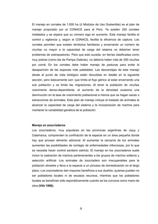 El manejo en corrales de 1.000 ha (ó Módulos de Uso Sostenible) es el plan de
manejo propiciado por el CONACS para el Perú. Ya existen 250 corrales
instalados y se espera que su número siga en aumento. Este manejo facilita el
control y vigilancia y, según el CONACS, facilita la eficiencia de captura. Los
corrales permiten que existan territorios familiares y encerrando un número de
vicuñas no mayor a la capacidad de carga del sistema no deberían tener
problemas de sobrepastoreo. Para que esto suceda, en tierras clasificadas como
muy pobres (como las de Pampa Galeras), no debería haber más de 300 vicuñas
por corral. En los corrales debe haber manejo de pasturas para evitar la
desaparición de las especies más palatables. Las desventajas de este manejo
desde el punto de vista biológico están discutidas en detalle en la siguiente
sección, pero básicamente son: que limita el flujo génico al estar encerrando una
sub población y se limita las migraciones. Al tener la población de vicuñas
crecimiento denso-dependiente, el aumento de la densidad ocasiona una
disminución en la tasa de crecimiento poblacional a menos que se hagan sacas o
extracciones de animales. Este plan de manejo incluye el traslado de animales al
alcanzar la capacidad de carga del sistema y la incorporación de machos para
mantener la variabilidad genética de la población.




Manejo en zoocriaderos
Los zoocriaderos, muy populares en las provincias argentinas de Jujuy y
Catamarca, comprenden la confinación de la especie en un área pequeña donde
hay que proveer alimento adicional. Al aumentar la cercanía de los animales
aumentan las posibilidades de contagio de enfermedades infecciosas, por lo que
se necesita hacer control sanitario estricto. El manejo en los zoocriaderos suele
incluir la castración de machos pertenecientes a los grupos de machos solteros y
selección artificial. Los animales de zoocriadero son irrecuperables para la
población silvestre y lleva a la especie a un proceso de domesticación en el largo
plazo. Los zoocriaderos dan mayores beneficios a sus dueños, quienes pueden no
ser pobladores locales ni de escasos recursos, mientras que los pobladores
locales se benefician sólo esporádicamente cuando se los convoca como mano de
obra (Vilá 1998).




                                     9
 