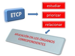 estudiar

priorizar

relacionar
 