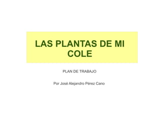 LAS PLANTAS DE MI
COLE
PLAN DE TRABAJO
Por José Alejandro Pérez Cano

 