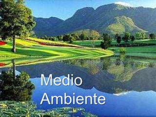 Objetivos Específicos
Medio
Ambiente
 