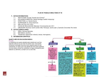 PLAN DE TRABAJO SIMULTÁNEO N° 59

         1. DATOS INFORMATIVOS:
              1.1. INSTITUCIÓN: Escuela “Vicente de la Carrera””
              1.2. ESTUDIANTE MAESTRO: Gabriel Santiago Castillo Imbaquingo
              1.3. DIRECTORA: Lic. Sandra Guerra
              1.4. SUPERVISOR: Dr. Arturo Espinoza.
              1.5. AÑO LECTIVO: 2011-2012
              1.6. FECHA DE REALIZACIÓN: Miércoles 14 de diciembre del 2011
              1.7. UBICACIÓN: Provincia: Carchi Cantón: Mira Parroquia: Jacinto Jijón y Caamaño Comunidad: Río Verde
         2.   DATOS CURRICULARES:
              2.1. ÁREA: Ciencias Naturales
              2.2. MÉTODO/S: Científico.
              2.3. TÉCNICA/S: Observación indirecta, directa, interrogatorio.
         3. INFORMACIÓN CIENTÍFICA:
     QUINTO AÑO DE EDUCACIÓN BÁSICA
     El suelo
     La superficie de nuestro planeta está cubierta por una fina
     capa de suelo en la que viven los seres vivos. A los seres
     humanos y animales nos sirve como soporte sobre el cual
     caminamos, en tanto que a las plantas les sirve para sujetarse
     con las raíces y tomar los nutrientes y el agua necesarios para
     elaborar su alimento y cumplir con su ciclo vital.




11
 