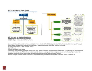 SEXTO AÑO DE EDUCACIÓN BASICA
     Composición y estructura del perfil del suelo del pastizal.




     SÉPTIMO AÑO DE EDUCACIÓN BÁSICA.
     Características del suelo de los bosques irregularidades
     del Litoral y su influencia en la Flora y fauna


     Las características del suelo de los bosques del Litoral como el color, la fertilidad o la profundidadde los horizontes determinan que la hora y la
     fauna de este bioma también presentencaracterísticas y adaptaciones típicas, entre ellas podemos mencionar:
     de bosque tropical seco y otras zonas de bosque
     tropical lluvioso.
     Árbolesde hasta 60 m de altura.
     Los troncos de los árboles, usualmente, sonde color claro, rectos y verticales; muchos poseencontrafuertes; y la corteza es lisa,
     frecuentemente,con manchas de líquenes. Árbolestienen una corteza másgruesa y más rugosa; raíces más profundas, sincontrafuertes; hojas
     mucho más variables, incluyendomuchas leguminosas de hojas compuestas; y muchasespecies poseen espinos.
     Insectos una gran variedad de aves como lorosy pequeños buitres; y mamíferos como tigrillos,cuchuchos, monos aulladores, etc.




12
 