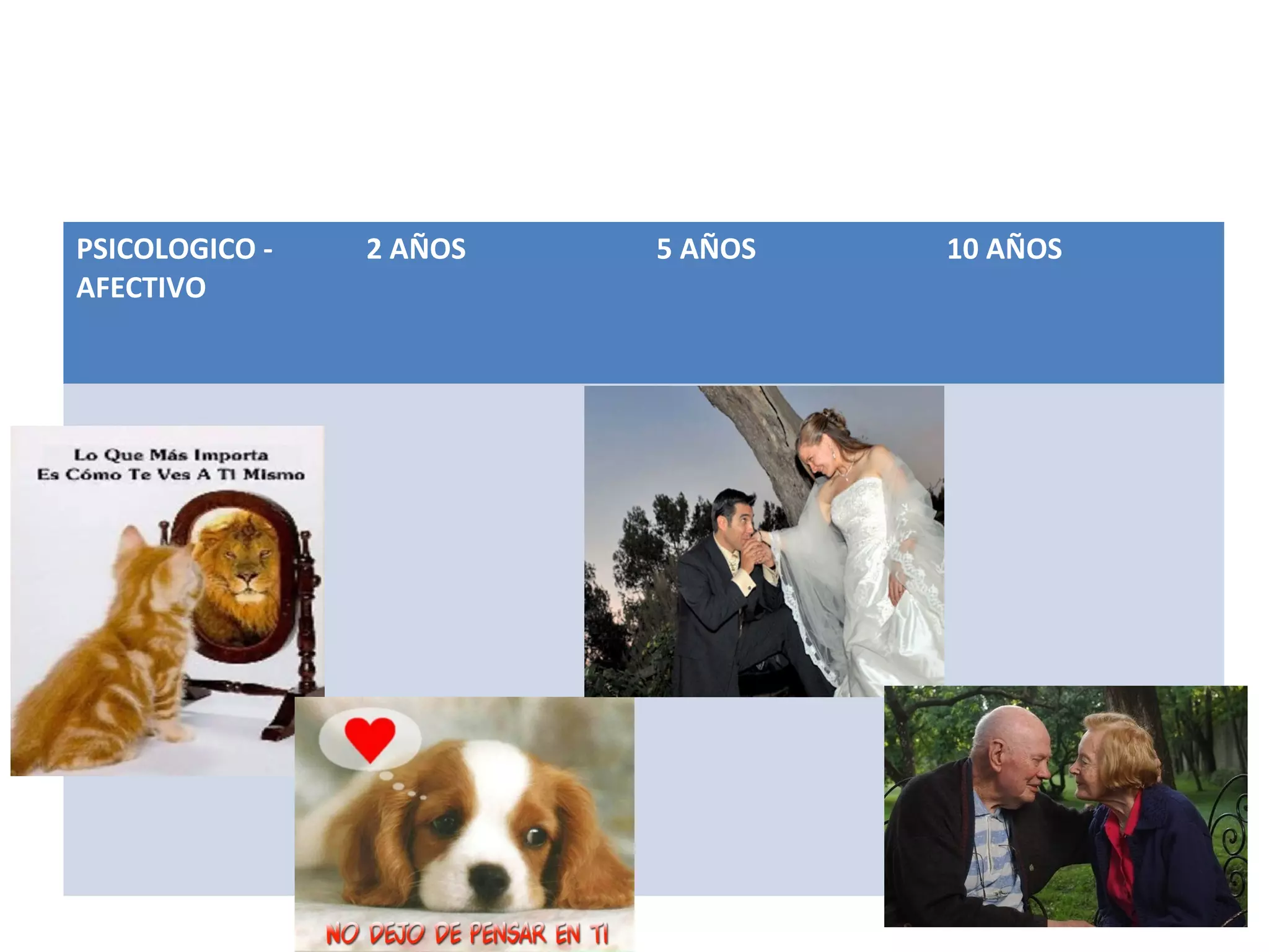 PSICOLOGICO -
AFECTIVO
2 AÑOS 5 AÑOS 10 AÑOS