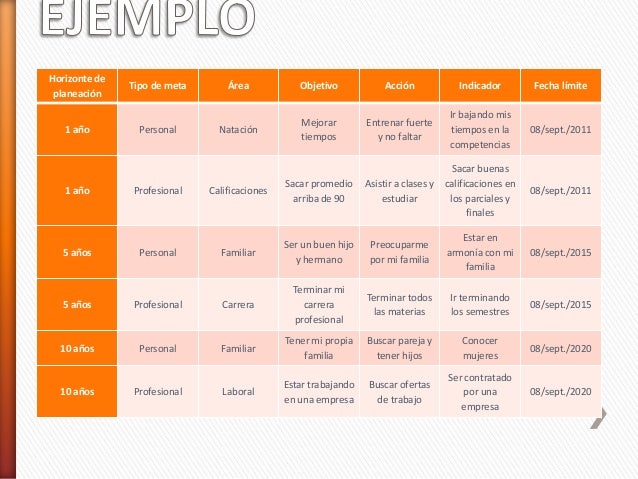 Plan de vida y carrera