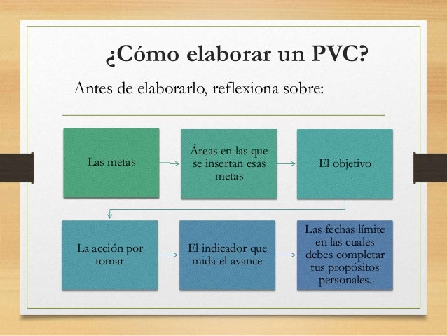 Plan de vida y carrera