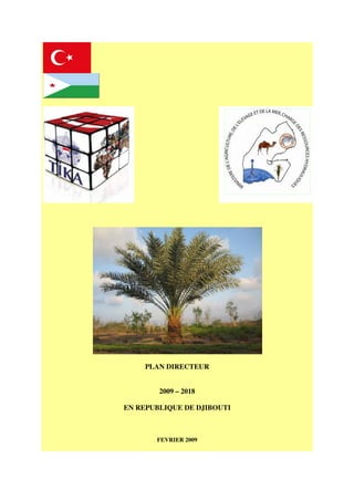 PLAN DIRECTEUR
2009 – 2018
EN REPUBLIQUE DE DJIBOUTI
FEVRIER 2009
 
