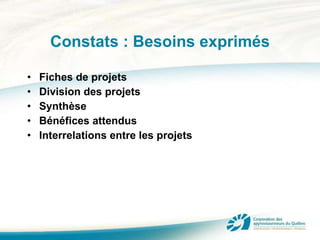 Constats : Besoins exprimés Fiches de projets Division des projets Synthèse Bénéfices attendus Interrelations entre les projets 