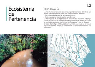 Plan director grupo 11 web