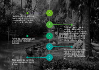 Plan director grupo 11 web