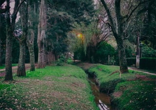 Plan director grupo 11 web