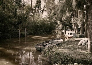 Plan director grupo 11 web