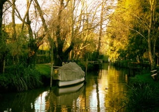 Plan director grupo 11 web