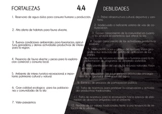 Plan director grupo 11 web