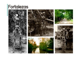 Plan director grupo 11 web