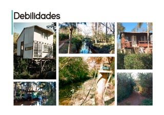 Plan director grupo 11 web