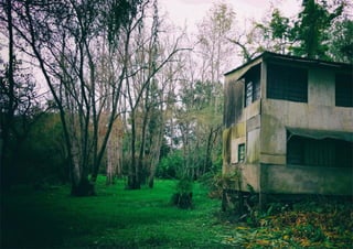 Plan director grupo 11 web