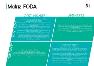 Plan director grupo 11 web