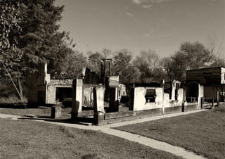 Plan director grupo 11 web