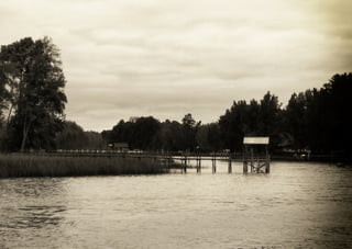 Plan director grupo 11 web