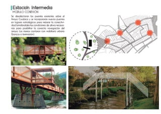 Plan director grupo 11 web