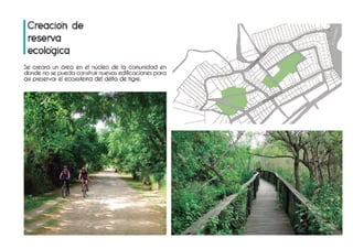 Plan director grupo 11 web