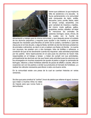 tienen que colaborar, lo que implica la
falta de asistencia a la escuela; la
fauna perteneciente a la comunidad
está compuesta de tejón, ardilla,
tlacuache, zorra, zorrillo, liebre, ratón
de campo, conejo, serpientes, una
gran variedad de insectos y reptiles,
del mismo modo gallinas, gallos,
guajolotes, cerdos, caballos sin dejar
de mencionar los animales de
pastoreo; borregos, vacas, chivos, de
los cuales son la fuente de
alimentación y trabajo para la misma comunidad, y que después ponen al cuidado
de los alumnos pequeños y mayores pues ayudan a las madres a su pastoreo
después los necesitan para llevarlos al centro de la cuidad y venderlos o para las
clausuras en el mes de julio, o alguna fiesta, también se dan los famosos prestamos
de animales o alimentos, es decir si van a realizar una fiesta y la familia no cuenta
con recursos, les prestan uno o dos borregos, kilos de tortillas o refrescos, a
condición de que se los devolverán cuando los requieran, esta actividad propiciada
por los padres tiene repercusiones en el aula pues los alumnos se hacen más
responsables en el trabajo o tareas y tratan de cumplir con sus actividades,
principalmente las alumnas son las que hacen esta actividad pues los alumnos son
los encargados en muchas ocasiones de ayudar al padre a cargar la camioneta de
lechugas, rábanos y otras hortalizas además de pacas de alfalfa o zacate, ellos en
ocasiones van con los padres a vender sus productos al mercado de hortalizas, y a
realizar los cálculos necesarios para llevar a cabo una buena venta.
En la comunidad existe una presa de la cual se cuentan historias en varias
versiones.
Se dice que para construir la “cortina” (muro de piedra que retiene el agua), tuvieron
que matar a muchos niños no natos
de Capula para que nunca fuera a
derrumbarse.
 
