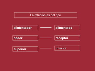  objetivos que se propongan