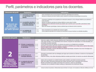 Perfil, parámetros e indicadores para los docentes. 
 