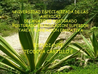  
UNIVERSIDAD ESPECIALIZADA DE LAS
            AMERICAS
    DECANATO DE POSTGRADO
POSTGRADO EN EDUCACION SUPERIOR
  TAREA: PLANEACIÓN EDUCATIVA


       ESTUDIANTE:
    TEODORA CASTILLO E.
 