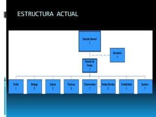 ESTRUCTURA ACTUAL