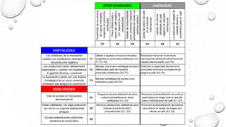 Posibilidaddeincursionar
ennuevosmercados
exigentesenproductos
certificados
Preciodiferenciadoy
mayordelcaféorgánico
conrespectoalcafé
convencional
Interésdeconsumidores
pormproductosorgánicos
procedentesdezonascon
extremapobreza
Caídadelpreciodecafé
enelmercado
internacional
Ingresodenuevos
ofertantesdecafé
orgánicoalmercado
internacional
Laaparicióndeplagasde
ineteréstécnicoy
económicoparaelcafé
O1 O2 O3 A1 A2 A3
FORTALEZAS
Los productos de la Asociación
cuentan con certificación internacional
de producción orgánica
F1
Los productores están debidamente
organizados y cuentan con experiencia
en gestión técnica y comercial
F2
La Asociación cuenta con una Alianza
Estratégica de un socio comercial
extranjero que asegura la exportación
F3
DEBILIDADES
Vías de acceso en mal estado
deconservación
D1
Areas cafetaleras con baja producción
por ser en su mayoría plantaciones
antiguas
D2
Escasa diversificación productiva,
tendencia al monocultivo
D3
Promover la diversificación de cultivos
para reducir el riesgo ante la caía del
precio interbacional del café (A1, D3)
Promover la diversificación de cultivos
para reducir el riesgo de plagas que
afectan al café (A3, D3)
Manejar estrategias de acceso a los
mercados justos (03, F2)
Programa de diversificación de otros
cultivos competitivos en áreas
certificadas (01, D3)
Renovar plantaciones cafetaleras para
mejorar la productividad y
competitividad (O1, D3)
OPORTUNIDADES AMENAZAS
Ofertar e ingresar a nuevos mercados
exigentes en productos certificados (O1,
F1, F2, F3)
Manejar una buena estrategia de precio
diferenciala partir de nuestros
productos certificados (02, F1)
Posicionar marca en el emracdo
internacional utilizando eficientemente
nuestra alianza estrat. (A2, F3)
Potencial la capacidad técnica de la
zona para minimizar la presencia de
plagas al café (A3, F2)
 