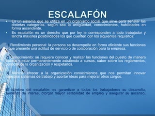 •
•

Es un sistema que se utiliza en un organismo social que sirve para señalar las
distintas categorías, según sea la antigüedad, conocimientos, habilidades en
forma ascendente.
Es escalafón es un derecho que por ley le corresponden a todo trabajador y
tendrá mayores posibilidades los que cuenten con los siguientes requisitos:

1) Rendimiento personal: la persona se desempeñe en forma eficiente sus funciones
y que presente una actitud de servicio o de colaboración para la empresa.
2) Conocimiento: se requiere conocer y realizar las funciones del puesto de manera
optima y estar permanentemente asistiendo a cursos, saber sobre los reglamentos,
políticas de la organización y respetarlos.
3) Méritos: ofrecer a la organización conocimientos que nos permitan innovar
nuestros sistemas de trabajo y aportar ideas para mejorar otros cargos.

El objetivo del escalafón: es garantizar a todos los trabajadores su desarrollo,
aumento de interés, otorgar mayor estabilidad de empleo y asegurar su ascenso.

 