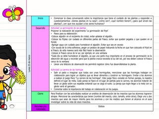 Lunes
25
de
marzo
Inicio • Comenzar la clase conversando sobre la importancia que tiene el cuidado de las plantas y responder a
cuestionamientos: ¿tienes plantas en tu casa?, ¿cómo son?, ¿qué nombre tienen?, ¿para qué sirven las
plantas?, ¿en que nos ayudan a los seres humanos?
Desarrollo Actividad: La germinación de las plantas
Proponer la realización del experimento “La germinación del frijol”.
• Pasos para su elaboración:
-Colocar algodón en el recipiente de cristal, evitar aplastar el algodón.
-Colocar los frijoles con cuidado en diferentes partes del frasco, evitar que queden pegados o que queden en el
fondo
-Agregar agua con cuidado para humedecer el algodón. Evitar que sea en exceso
-Con ayuda de la cinta adhesiva, pegar un pedazo de papel indicando la fecha en que han colocado el frijol en
el frasco, de esta manera será más fácil hacer la observación
-Colocar el frasco cerca de la luz, por ejemplo, en una ventana
*Cada día se debe humedecer el algodón, ya que una parte muy importante en el proceso de germinación es la
absorción del agua y recordar para que la planta crezca necesita la luz del sol, por eso deben colocar el frasco
cerca de la ventana.
• Llevar una bitácora de observación les permitirá registrar cómo fue desarrollándose la planta.
Actividad: La carrera de las hormigas
• Salir al patio e imaginar que todos son unas hormiguitas, mencionar que las hormigas trabajan en
colaboración para lograr un objetivo que es llevar alimentos y construir su hormiguero. Invitar a los alumnos
a realizar el juego físico “La carrera de las hormigas”. Este juego físico consiste en formar parejas, la maestra
definirá el lugar de meta. Cada pareja se fijará en el lugar de partida para la carrera, los alumnos tratarán de
llevar un globo sobre sus espaldas evitando que se caiga al suelo. La pareja que logre llegar a la meta con su
globo será el ganador.
• Comentar sobre la importancia del trabajo en colaboración en los juegos.
Cierre Para finalizar con las actividades realizar un análisis de observación de los insectos que los alumnos lograron
atrapar. Mencionar las características que tienen (nombre del insecto, color, tamaño, entre otros). Elegir uno o dos
insectos que sean de mayor interés para los alumnos y con los medios que tienen al alcance en el aula
investigar sobre la vida de esos insectos.
Recursos y/o
materiales
Globos
 