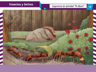 Sugerencia de actividad “Mi álbum”
 