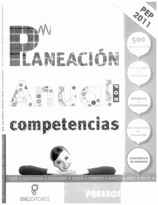 planeacion anual por competencias.pdf