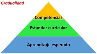 Estándar curricular
Aprendizaje esperado
Competencias
Gradualidad
 