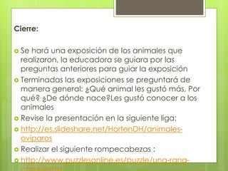 Cierre:
 Se hará una exposición de los animales que
realizaron, la educadora se guiara por las
preguntas anteriores para guiar la exposición
 Terminadas las exposiciones se preguntará de
manera general: ¿Qué animal les gustó más, Por
qué? ¿De dónde nace?Les gustó conocer a los
animales
 Revise la presentación en la siguiente liga:
 http://es.slideshare.net/HortenDH/animales-
oviparos
 Realizar el siguiente rompecabezas :
 http://www.puzzlesonline.es/puzzle/una-rana-
 