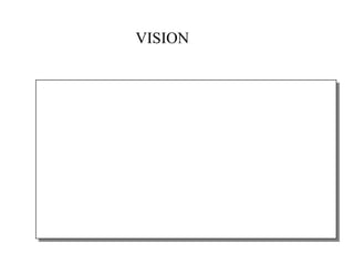 VISION 