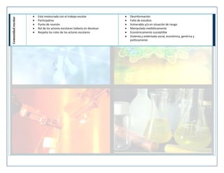 Comunidad escolar







Está involucrada con el trabajo escolar
Participativa
Punto de reunión
Rol de los actores escolares todavía sin devaluar
Respeta los roles de los actores escolares








Desinformación
Falta de estudios
Vulnerable y/o en situación de riesgo
Manipulada mediáticamente
Económicamente susceptible
Violenta y violentada social, económica, genérica y
políticamente

 