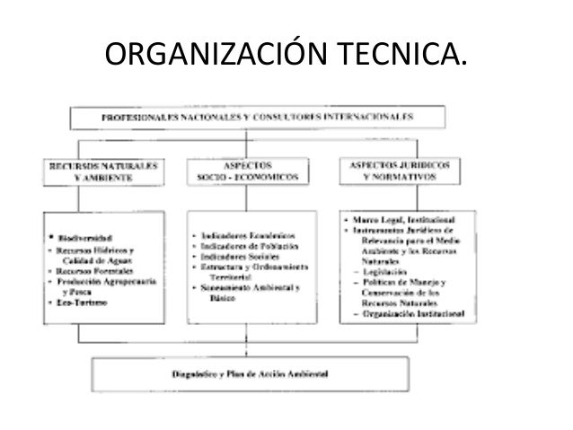 Planeacion y organización tecnica
