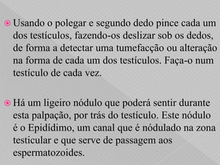  Usando  o polegar e segundo dedo pince cada um
 dos testículos, fazendo-os deslizar sob os dedos,
 de forma a detectar uma tumefacção ou alteração
 na forma de cada um dos testículos. Faça-o num
 testículo de cada vez.

 Há um ligeiro nódulo que poderá sentir durante
 esta palpação, por trás do testículo. Este nódulo
 é o Epidídimo, um canal que é nódulado na zona
 testicular e que serve de passagem aos
 espermatozoides.
 