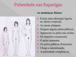 As mudanças físicas:

   Existe uma alteração ligeira
    no cheiro corporal;
   As ancas alargam;
   Surgem alguns pelos púbicos;
   Aparecem os pelos nas axilas;
   Os mamilos escurecem;
   O peito aumenta;
   Os pelos púbicos florescem;
   Chega a menstruação
   A puberdade completa-se.
 