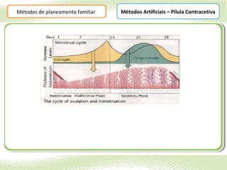 Métodos de planeamento familiar   Métodos Artificiais – Pílula Contracetiva
 