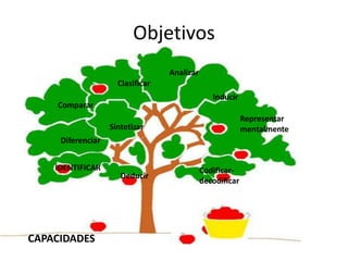 Objetivos
IDENTIFICAR
Diferenciar
Representar
mentalmente
Comparar
Clasificar
Codificar-
decodificar
Analizar
Sintetizar
Inducir
Deducir
CAPACIDADES
 